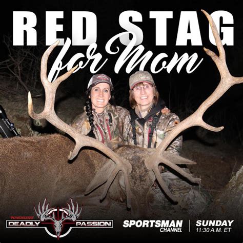 stag mommas